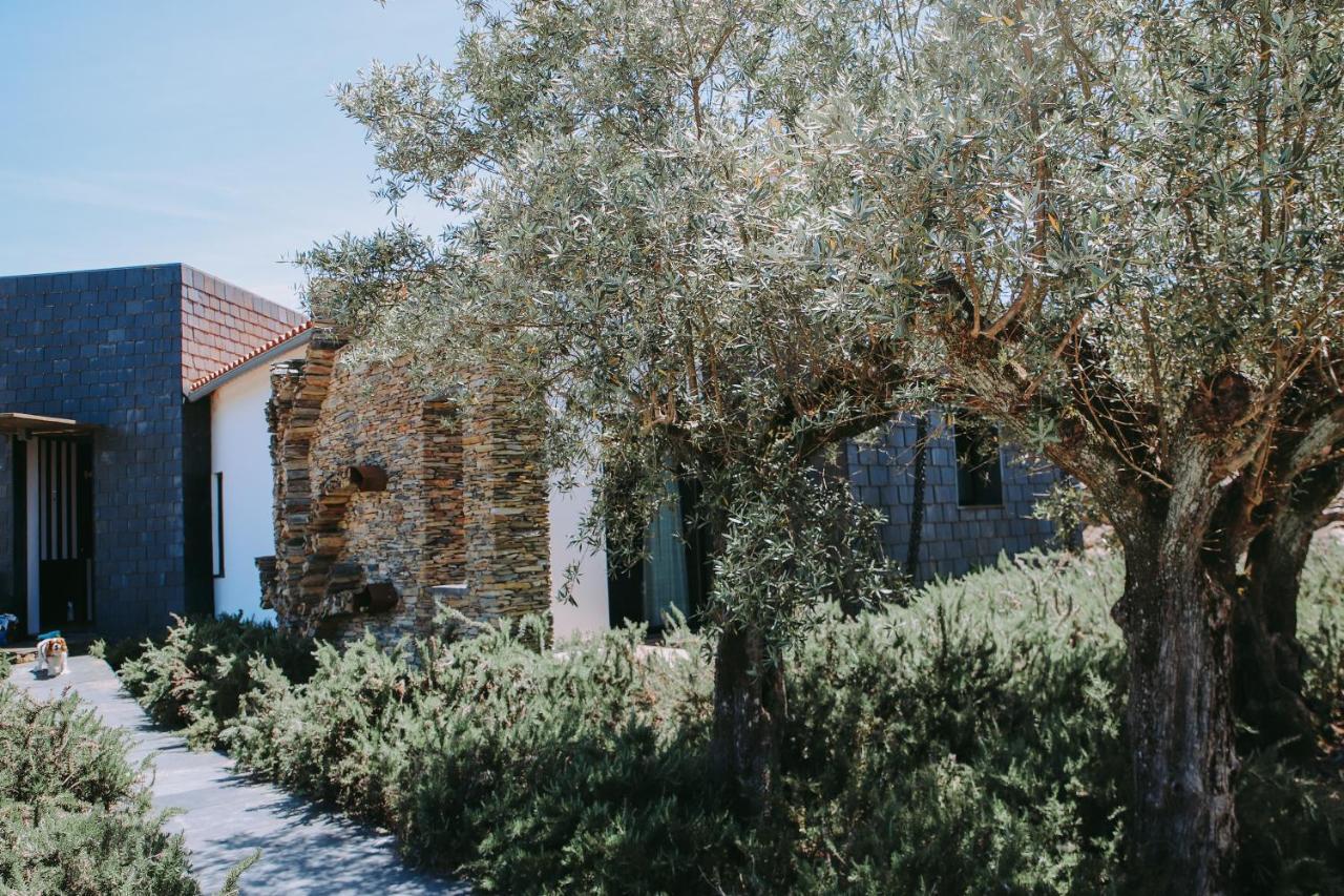 Casas Da Fontanheira Konuk evi Marvão Dış mekan fotoğraf